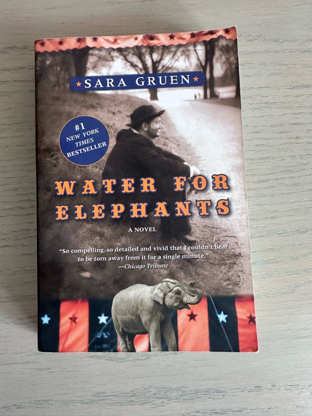 Water for Elephants Paperback Novel - by Sara Gruen